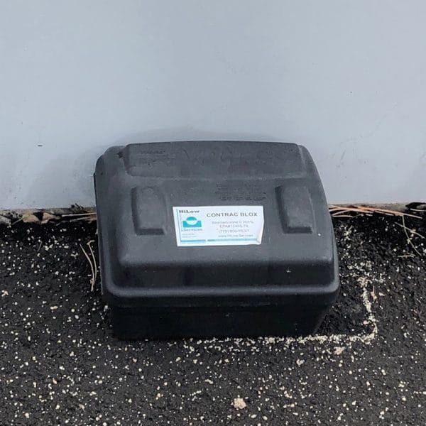 How Business Relocations to Reno Have Increased Rodent Activity And How to Avoid Rodents in Your Home