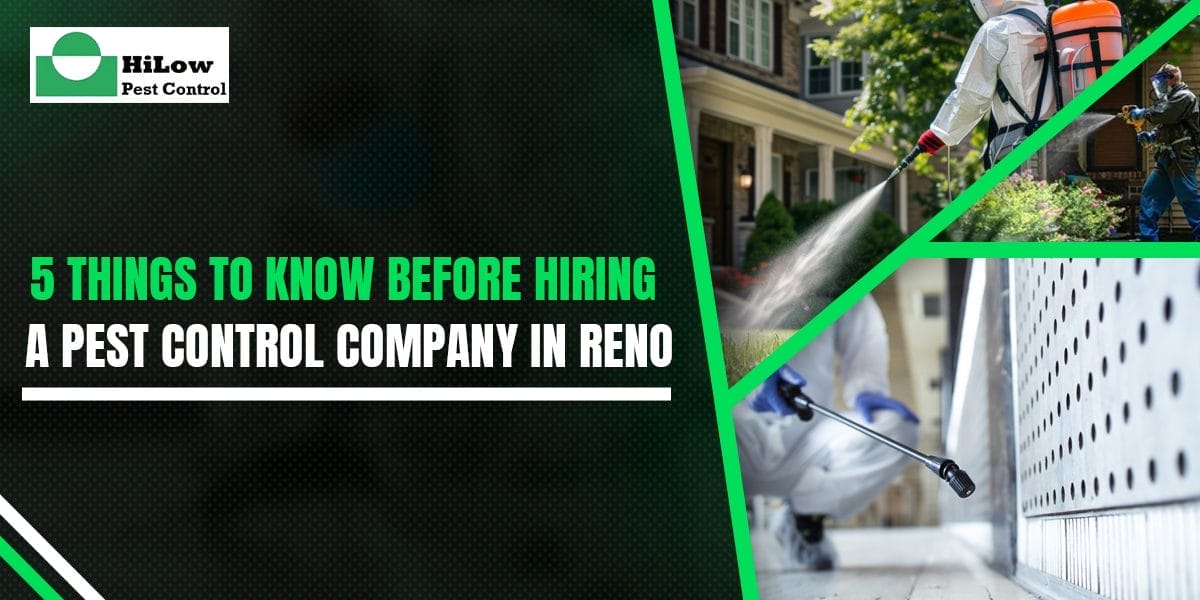 5 Things to Know Before Hiring a Pest Control Company in Reno
